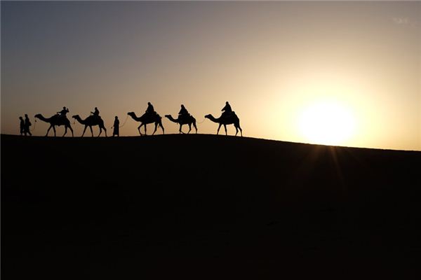 梦见骑骆驼是什么预兆,梦见骑骆驼是什么意思