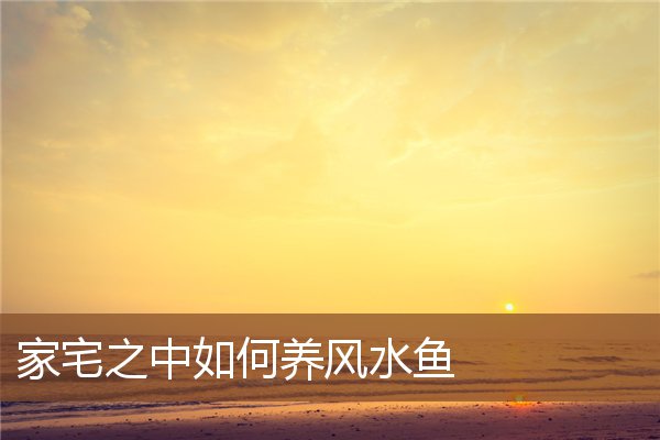 家宅之中如何养风水鱼